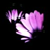 :icontrixiecullen: