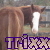 :icontrixxzebra: