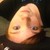 :icontrk4444: