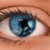 :icontrn01: