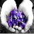 :icontrochewyalienowana: