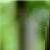 :icontrode22: