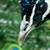 :icontroglodytidae: