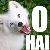 :icontrojancentaur: