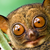 :icontrollfaceknowsbest: