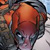:icontrooper1ef: