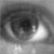 :icontrop-green: