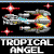 :icontropical-angel: