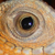 :icontropicalhouse:
