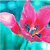 :icontropicalparadisegirl: