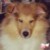 :icontropiccat: