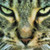 :icontroutusa: