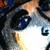 :icontroxerno: