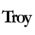 :icontroygedye: