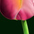 :icontroygfxart: