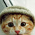 :icontroysbook: