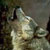 :iconTru-Wild:
