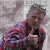 :icontruckerfrank8800: