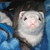 :icontruebloodedvampirex: