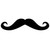 :icontruebluegent:
