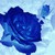 :icontruebluelu: