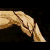 :icontruechaos6669: