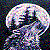 :icontruecolor00: