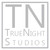 :icontruenightstudios: