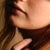 :icontrufflesnout: