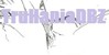 :icontruhaniadbz:
