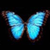 :icontruly-in-bliss: