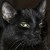 :icontruly-scrumptious: