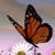 :icontrulyforeveryours: