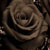 :icontrulymadlydeeply01:
