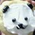 :icontrunksfanadoptables: