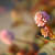 :icontruod05:
