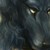 :iconTruro: