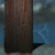 :icontrusader: