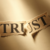 :icontrustjacketart:
