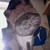:icontrustyourlocaldealer: