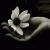 :icontry-again44: