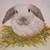 try2fly222 :icontry2fly222: