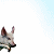 tsabilito :icontsabilito: