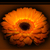 :icontschiffel: