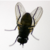 :icontschuhnthenoodle: