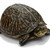 :icontsed972: