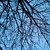:icontskyisnottlimit13: