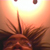 :icontsonchi: