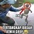 :icontsuciruka: