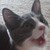 :icontsukasa-4ever:
